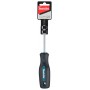 Makita E-13459 atsuktuvas šaltkalviškas T30 x 100 mm