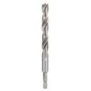 Grąžtas medienai BOSCH 10 x 87/133 mm