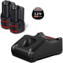 Krovimo komplektas BOSCH 12V Profesional